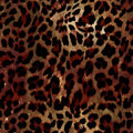 Leopar