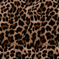 Leopar